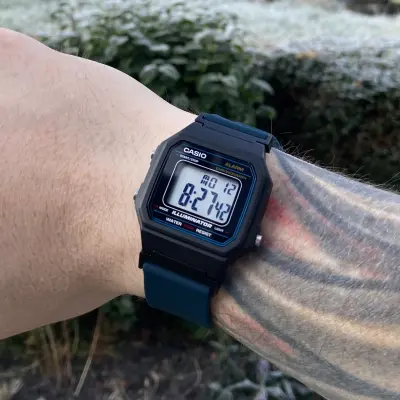 Casio W-217H