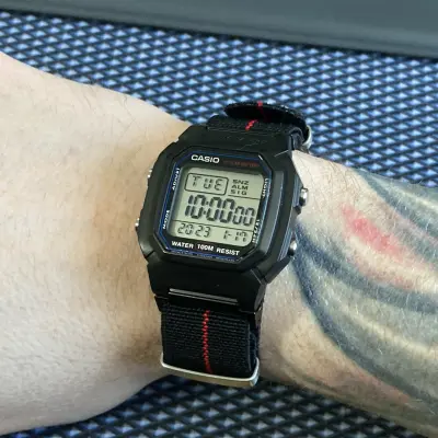 Casio W-800H